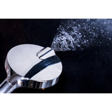 Regal 6-Function Hand Shower with Power Wash