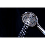 Regal 6-Function Hand Shower with Power Wash