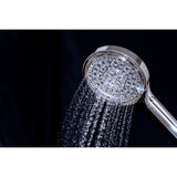 Regal 6-Function Hand Shower with Power Wash