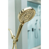 Regal 6-Function Hand Shower with Power Wash
