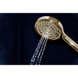 Regal 6-Function Hand Shower with Power Wash