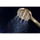 Regal 6-Function Hand Shower with Power Wash
