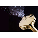 Regal 6-Function Hand Shower with Power Wash