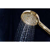 Regal 6-Function Hand Shower with Power Wash