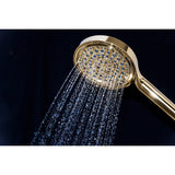 Regal 6-Function Hand Shower with Power Wash