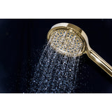 Regal 6-Function Hand Shower with Power Wash