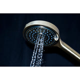 Regal 6-Function Hand Shower with Power Wash