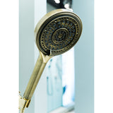 Regal 6-Function Hand Shower with Power Wash