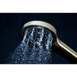 Regal 6-Function Hand Shower with Power Wash