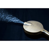 Regal 6-Function Hand Shower with Power Wash