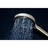 Regal 6-Function Hand Shower with Power Wash
