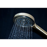 Regal 6-Function Hand Shower with Power Wash