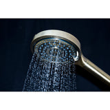 Regal 6-Function Hand Shower with Power Wash