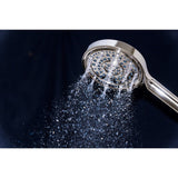 Regal 6-Function Hand Shower with Power Wash