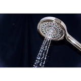 Regal 6-Function Hand Shower with Power Wash