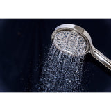 Regal 6-Function Hand Shower with Power Wash