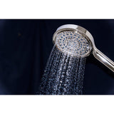 Regal 6-Function Hand Shower with Power Wash