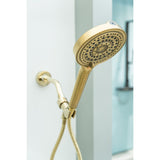 Regal 6-Function Hand Shower with Power Wash
