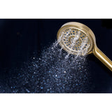 Regal 6-Function Hand Shower with Power Wash