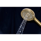 Regal 6-Function Hand Shower with Power Wash
