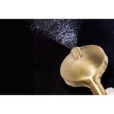 Regal 6-Function Hand Shower with Power Wash