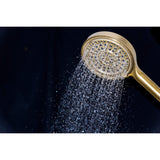 Regal 6-Function Hand Shower with Power Wash