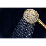 Regal 6-Function Hand Shower with Power Wash