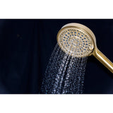 Regal 6-Function Hand Shower with Power Wash