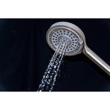 Regal 6-Function Hand Shower with Power Wash