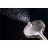 Regal 6-Function Hand Shower with Power Wash