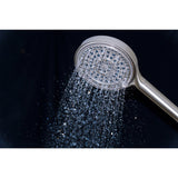 Regal 6-Function Hand Shower with Power Wash
