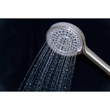 Regal 6-Function Hand Shower with Power Wash