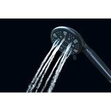 Regal 9-Function Hand Shower with Power Wash