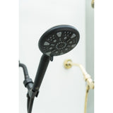 Regal 9-Function Hand Shower with Power Wash