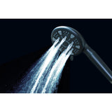 Regal 9-Function Hand Shower with Power Wash