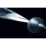 Regal 9-Function Hand Shower with Power Wash