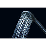 Regal 9-Function Hand Shower with Power Wash