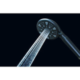 Regal 9-Function Hand Shower with Power Wash