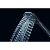 Regal 9-Function Hand Shower with Power Wash