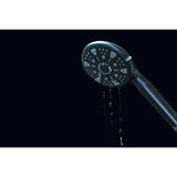 Regal 9-Function Hand Shower with Power Wash