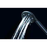Regal 9-Function Hand Shower with Power Wash