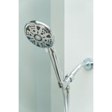 Regal 9-Function Hand Shower with Power Wash