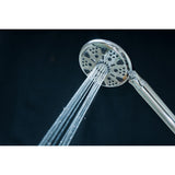 Regal 9-Function Hand Shower with Power Wash