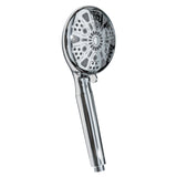Regal 9-Function Hand Shower with Power Wash