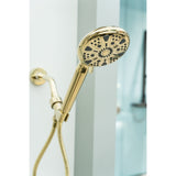 Regal 9-Function Hand Shower with Power Wash