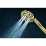 Regal 9-Function Hand Shower with Power Wash