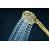 Regal 9-Function Hand Shower with Power Wash