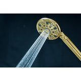 Regal 9-Function Hand Shower with Power Wash