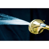 Regal 9-Function Hand Shower with Power Wash