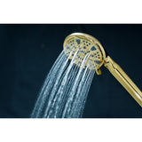 Regal 9-Function Hand Shower with Power Wash